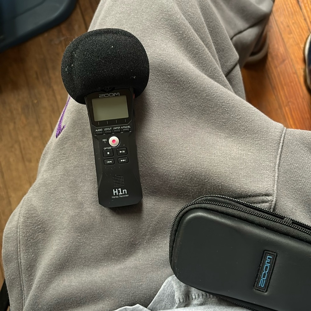 H1n audio recordings